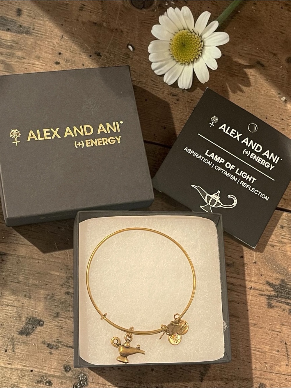 Alex and Ani Gold Lamp of Light Charm Bangle Bracelet with Box & Card